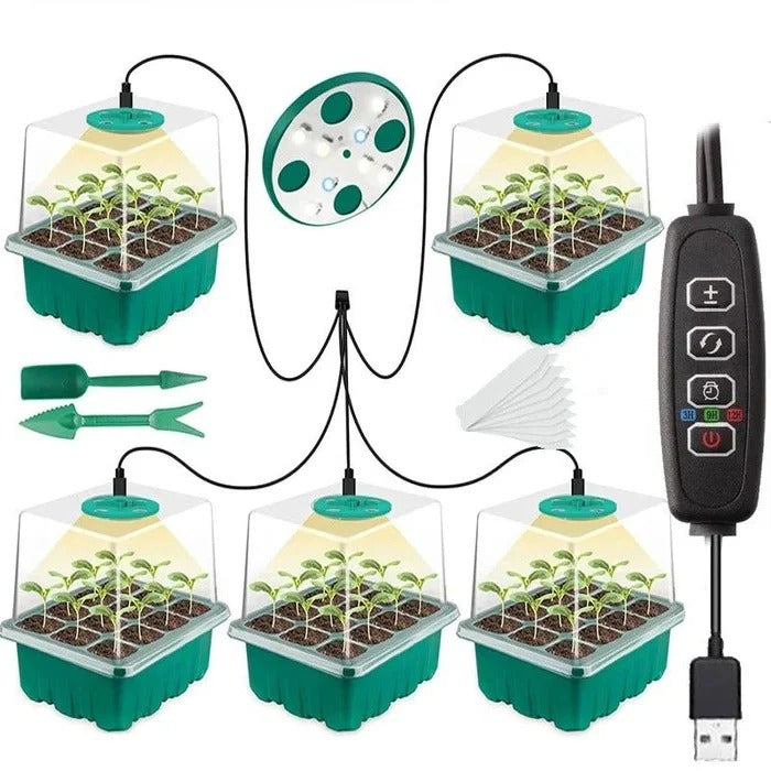 Skorter | Household New Nursery Pot With Lamp
