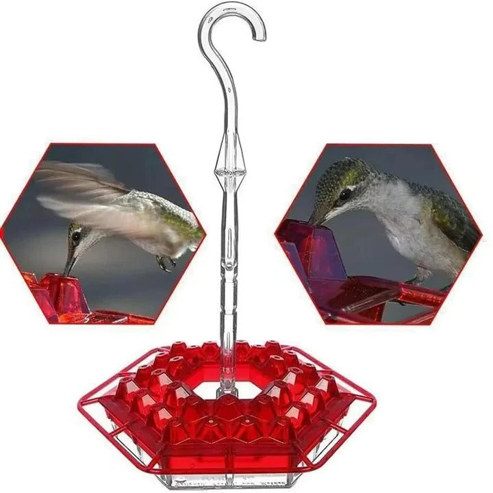Skorter | Ant Proof Hummingbird Feeder, Outdoor Hanging Perch