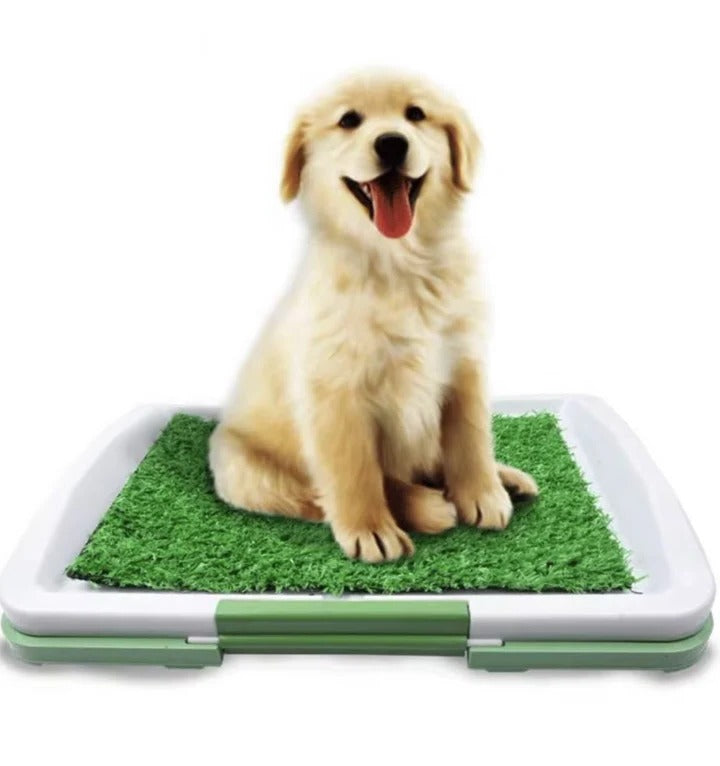 Skorter | Dog Toilet with Artificial Turf