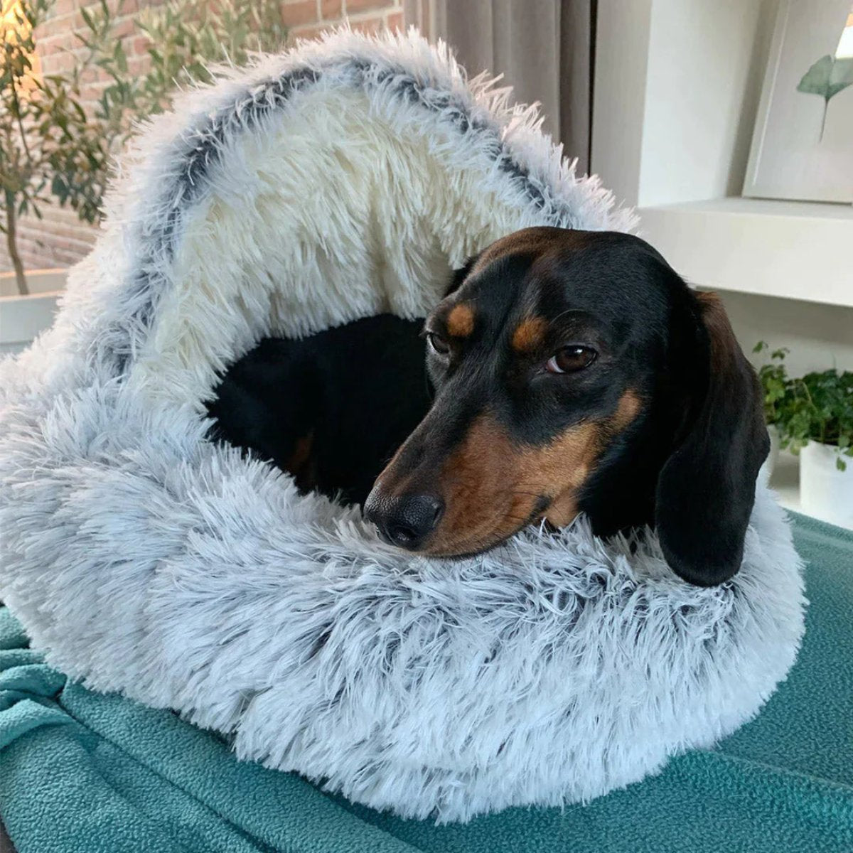Skorter | Cozy Cave Pet Bed | Calming & Comfortable Dog Bed for Deep Relaxation
