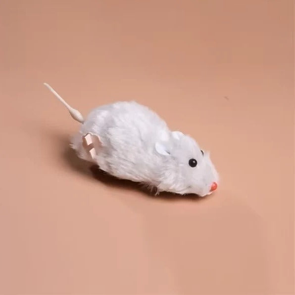 Skorter | Electric Cat Toy Mouse