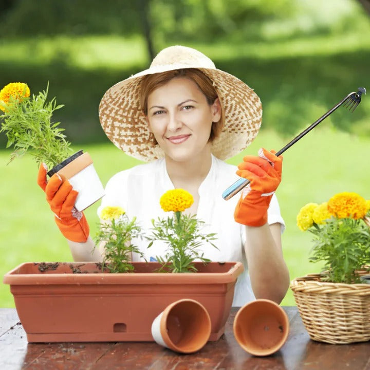 Skorter | Crescent Weeder Tool with Long Handle