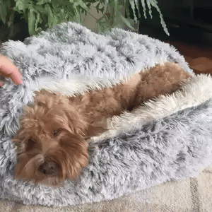 Skorter | Cozy Cave Pet Bed | Calming & Comfortable Dog Bed for Deep Relaxation