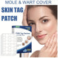 (1 + 1 Free) FlawlessPatch Skin Concealer