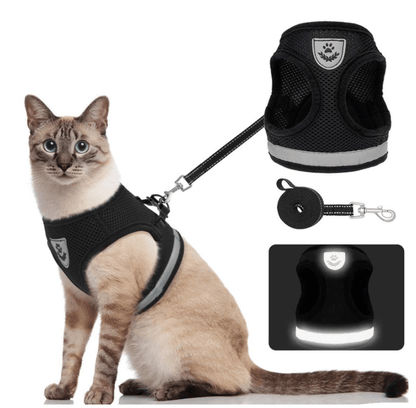 Skorter | ADVENTURE HARNESS – Escape-proof cat harness with leash & reflective elements