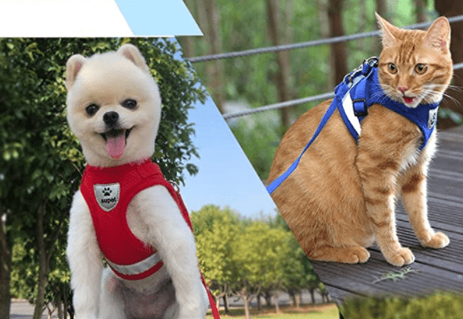 Skorter | ADVENTURE HARNESS – Escape-proof cat harness with leash & reflective elements