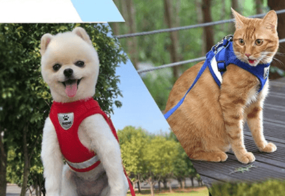 Skorter | ADVENTURE HARNESS – Escape-proof cat harness with leash & reflective elements