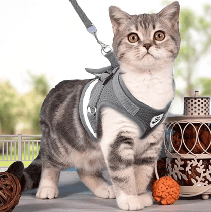 Skorter | ADVENTURE HARNESS – Escape-proof cat harness with leash & reflective elements