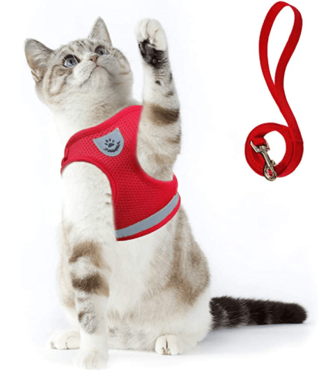 Skorter | ADVENTURE HARNESS – Escape-proof cat harness with leash & reflective elements