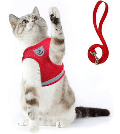 Skorter | ADVENTURE HARNESS – Escape-proof cat harness with leash & reflective elements