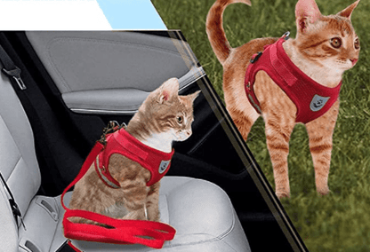 Skorter | ADVENTURE HARNESS – Escape-proof cat harness with leash & reflective elements