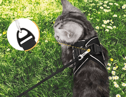 Skorter | ADVENTURE HARNESS – Escape-proof cat harness with leash & reflective elements