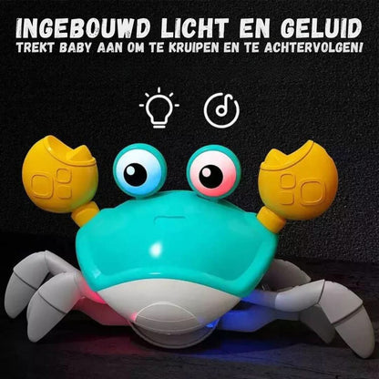 Skorter | Crawl-Crab | The Ultimate Crawl Adventure