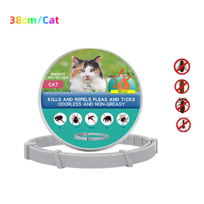 Skorter | Anti-Flea Pet Collar