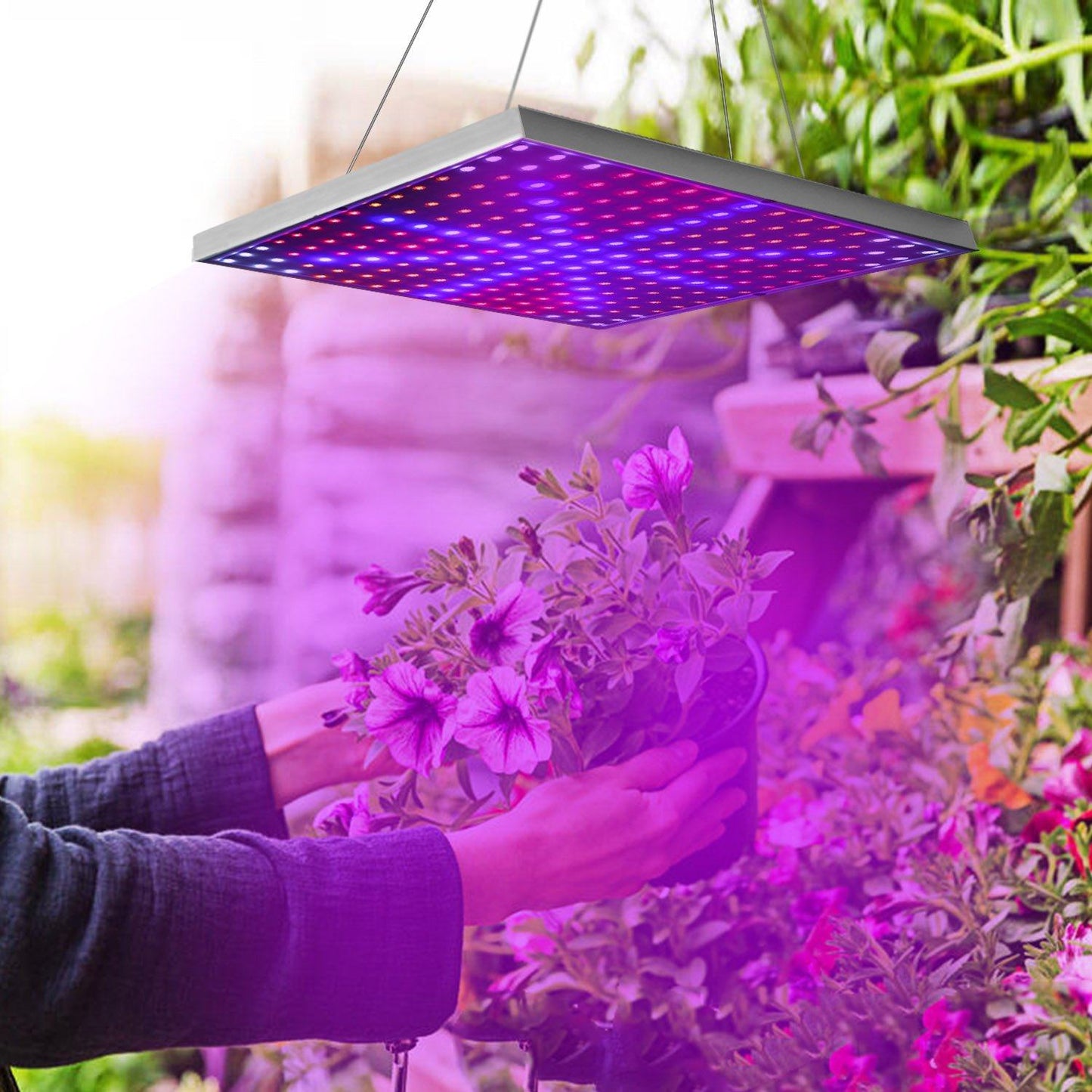 Skorter | LED Grow Light Full Spectrum Hanging