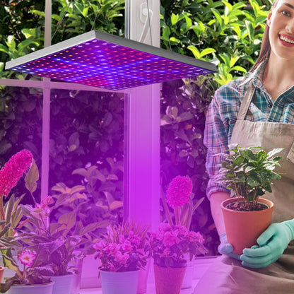 Skorter | LED Grow Light Full Spectrum Hanging