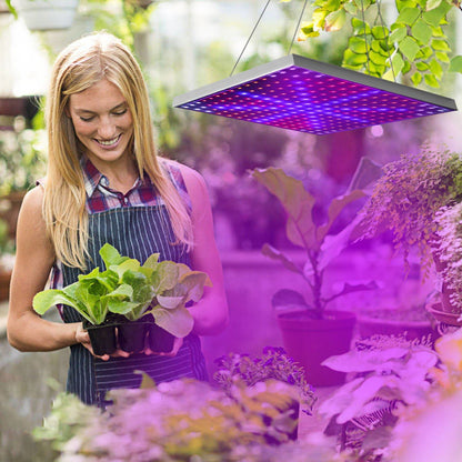 Skorter | LED Grow Light Full Spectrum Hanging