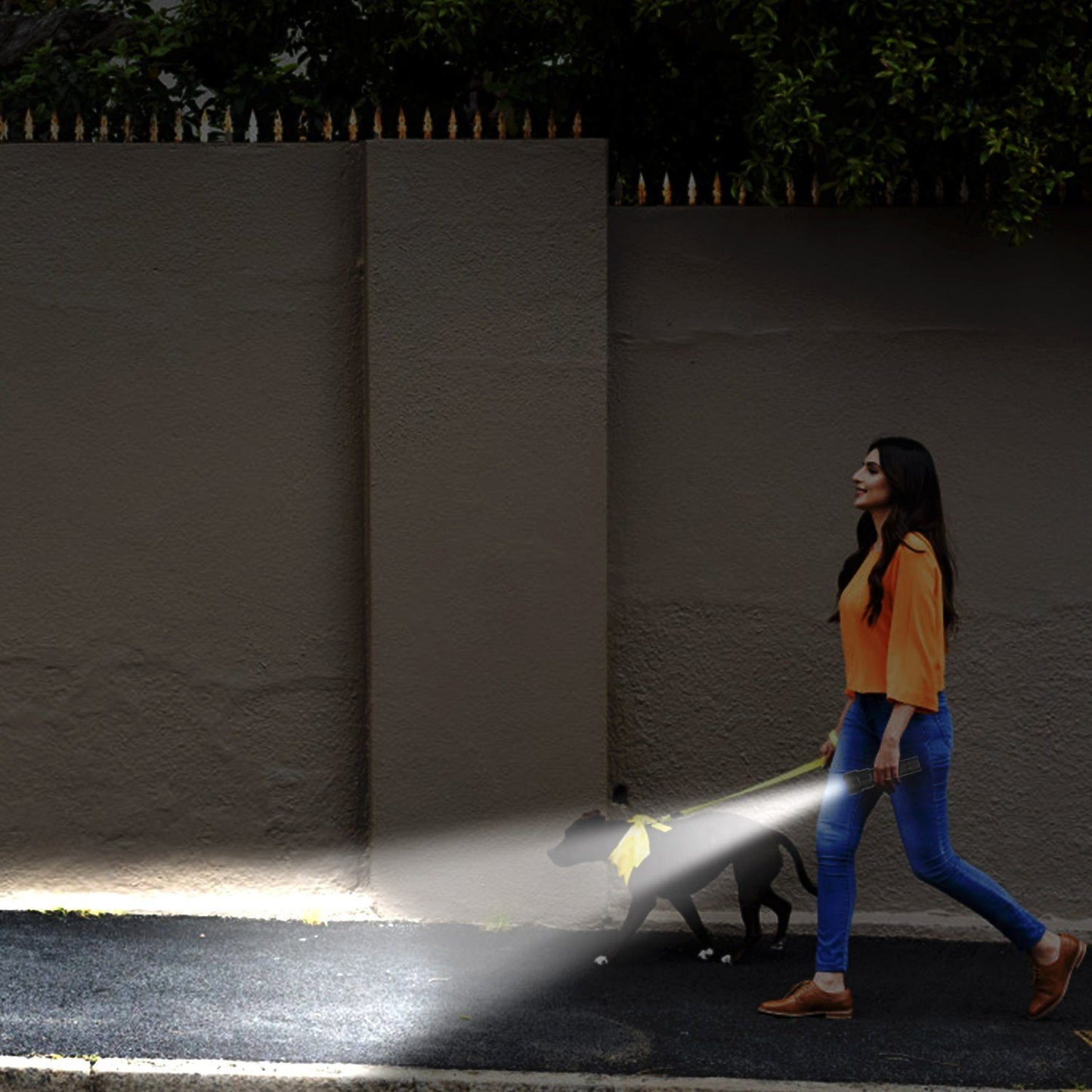 Skorter | LED Rechargeable Zoomable Flashlight