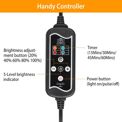 Skorter | LED Red Light Therapy Belt