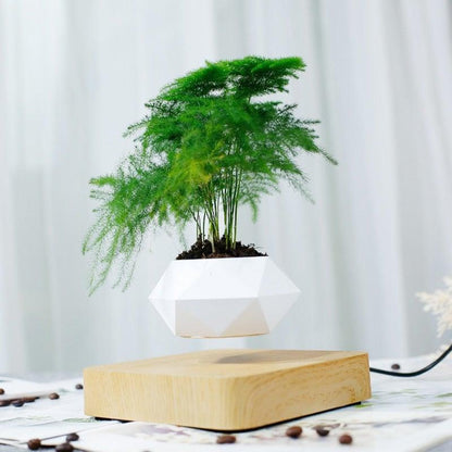 Skorter | Floating Air Bonsai Pot