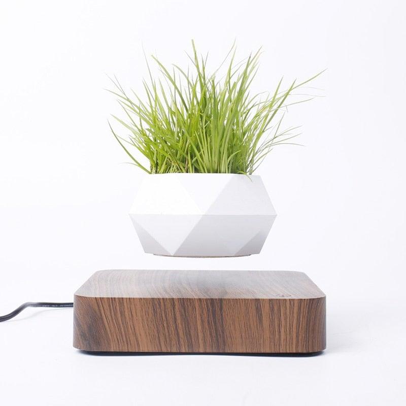 Skorter | Floating Air Bonsai Pot