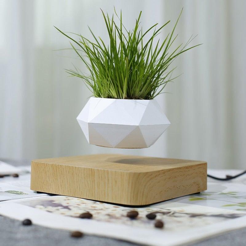 Skorter | Floating Air Bonsai Pot