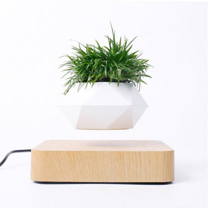 Skorter | Floating Air Bonsai Pot