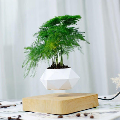 Skorter | Floating Air Bonsai Pot