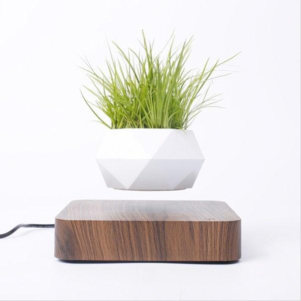 Skorter | Floating Air Bonsai Pot