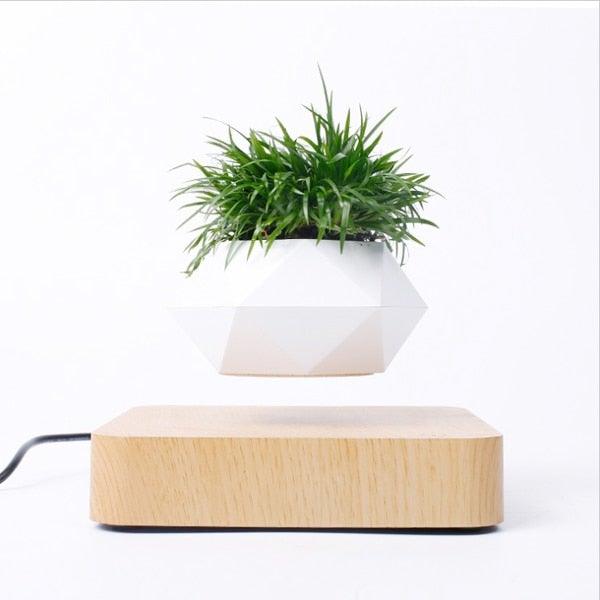 Skorter | Floating Air Bonsai Pot