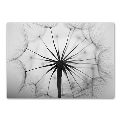 Skorter | Dandelion Canvas Wall Art on Premium Cotton Canvas