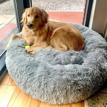 Skorter | Calming Dog Bed