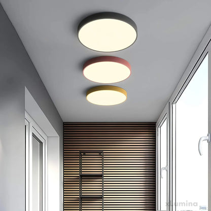 Skorter | Ceiling Light ChromaCraft