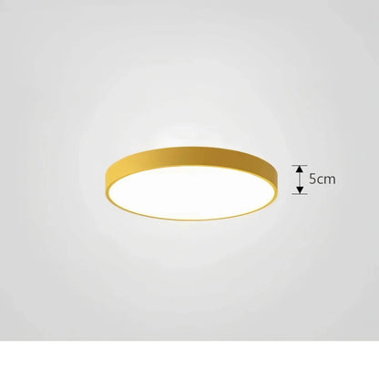 Skorter | Ceiling Light ChromaCraft