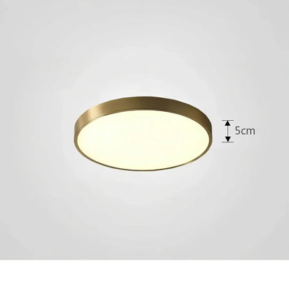 Skorter | Ceiling Light ChromaCraft