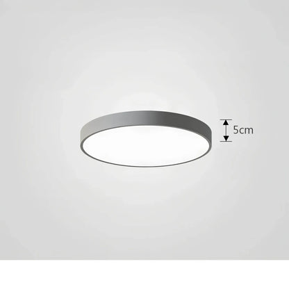 Skorter | Ceiling Light ChromaCraft