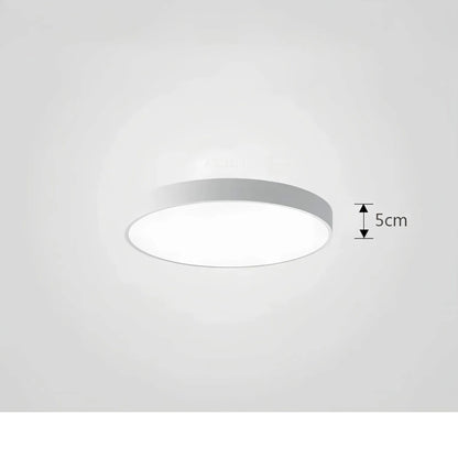Skorter | Ceiling Light ChromaCraft