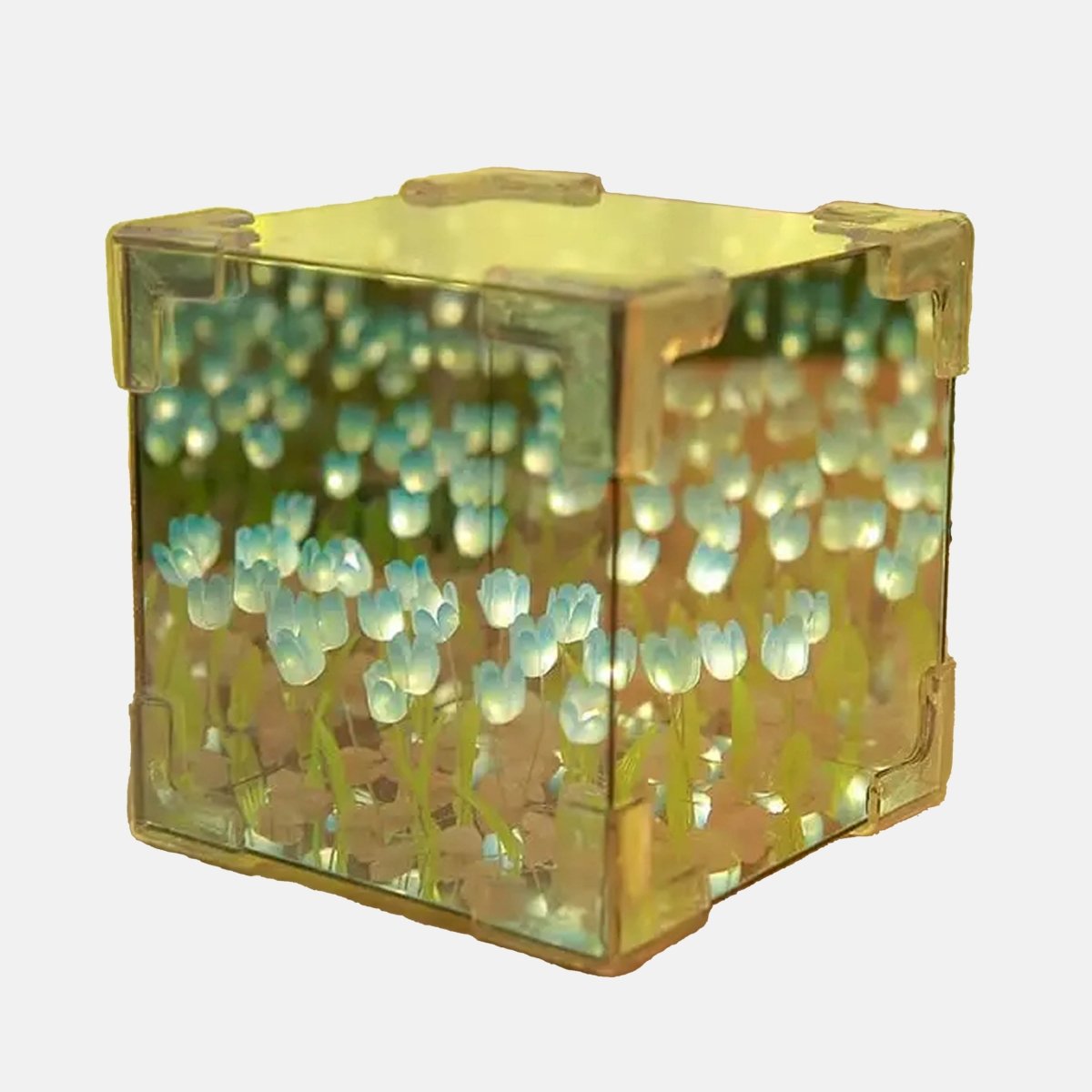 Skorter | MEADOWGLOW – DIY Meadow Lamp for Creative Lighting