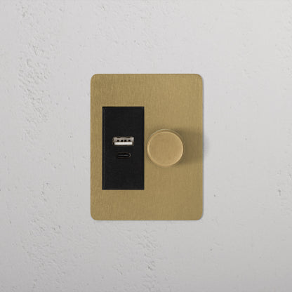 Skorter | 1G Two Way Dimmer + USB A+C Slimline Switch - Antique Brass Black