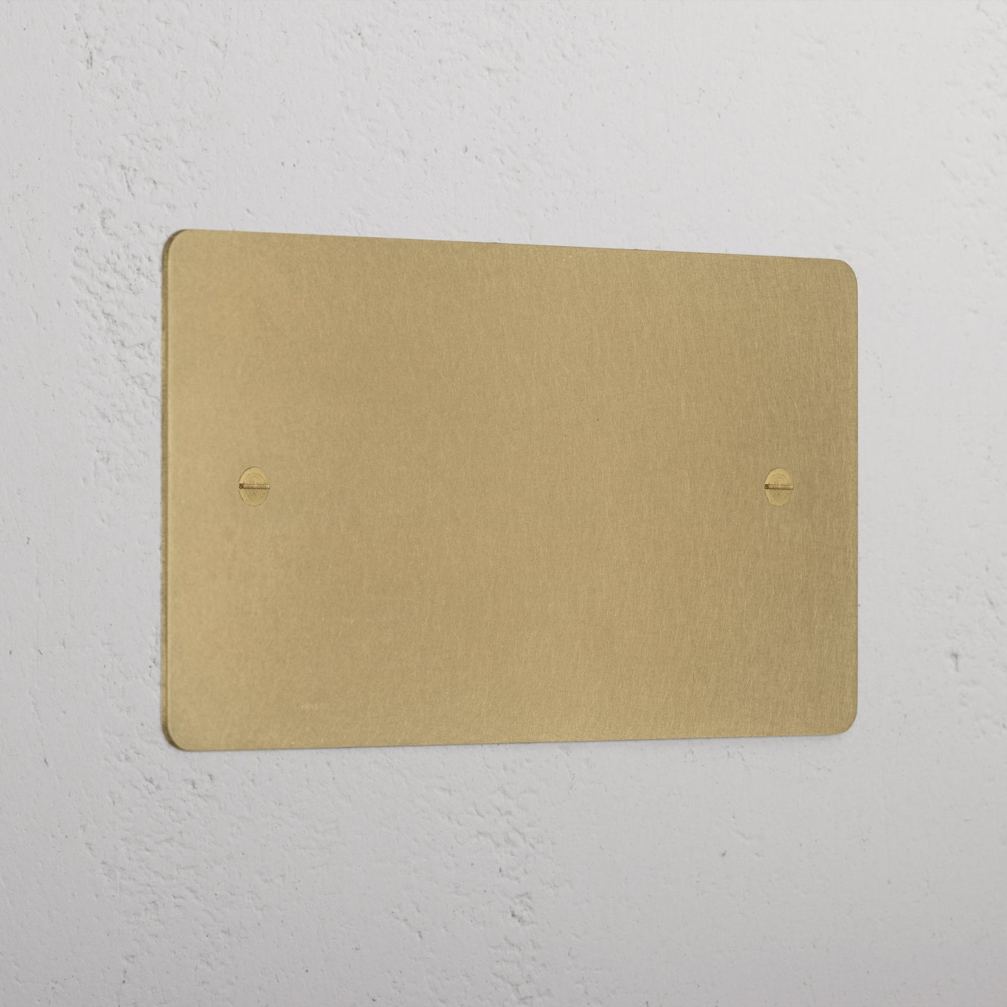 Skorter | 2G Blank Plate - Antique Brass