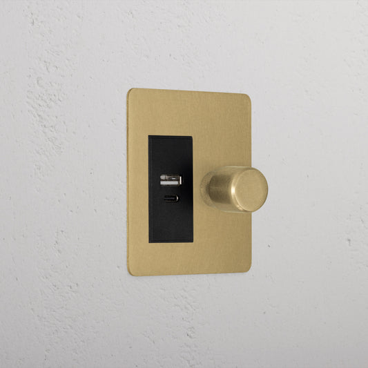 Skorter | 1G Two Way Dimmer + USB A+C Slimline Switch - Antique Brass Black