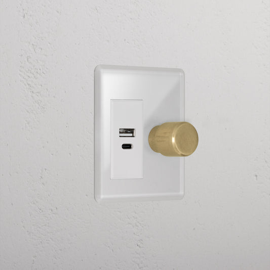 Skorter | 1G Two Way Dimmer + USB A+C Slimline Switch - Clear Antique Brass White