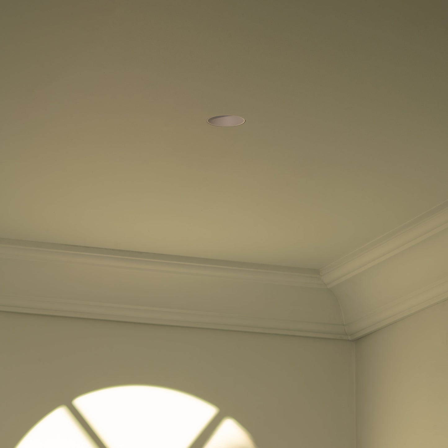 Skorter | Buxton Fire Rated 50mm Adjustable Trimless Downlight - White