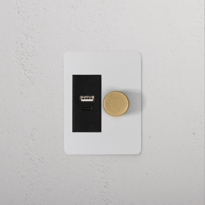 Skorter | 1G Two Way Dimmer + USB A+C Slimline Switch - Malbar Antique Brass Black