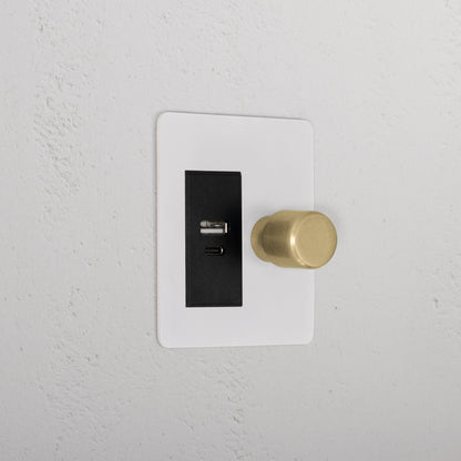 Skorter | 1G Two Way Dimmer + USB A+C Slimline Switch - Malbar Antique Brass Black