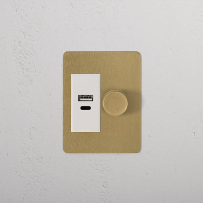 Skorter | 1G Two Way Dimmer + USB A+C Slimline Switch - Antique Brass White