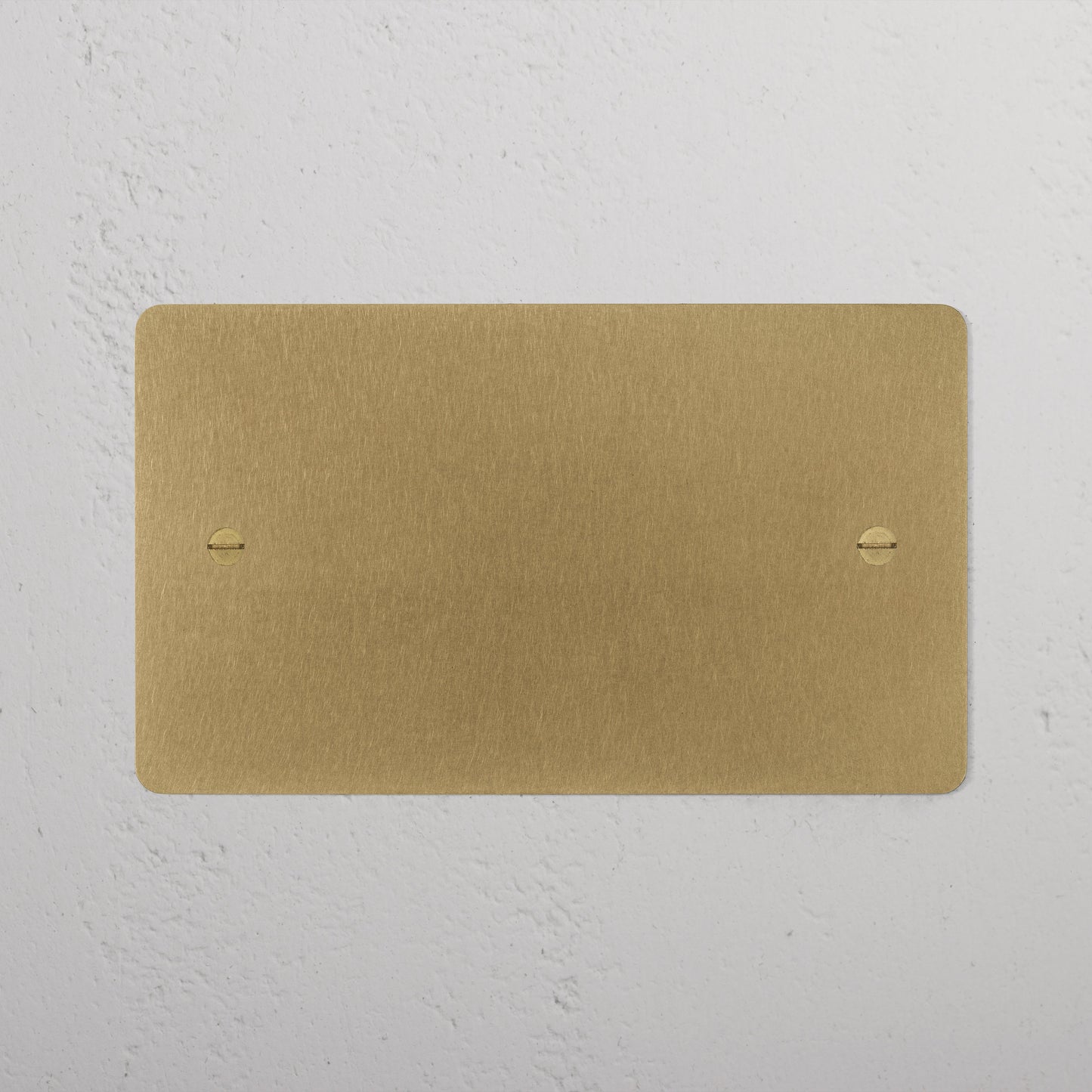 Skorter | 2G Blank Plate - Antique Brass