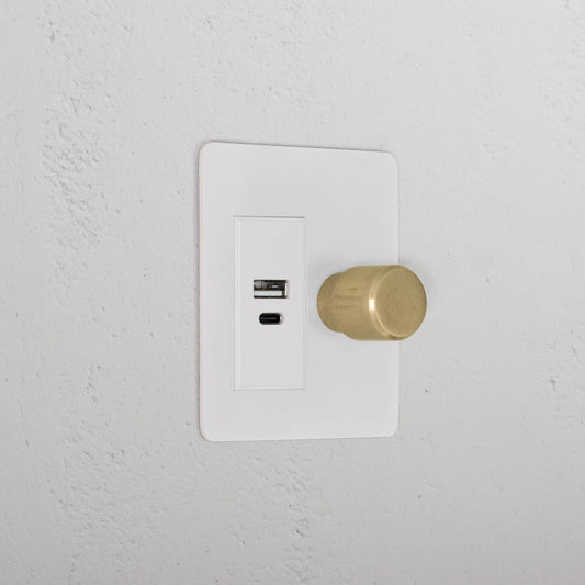 Skorter | 1G Two Way Dimmer + USB A+C Slimline Switch - Malbar Antique Brass White