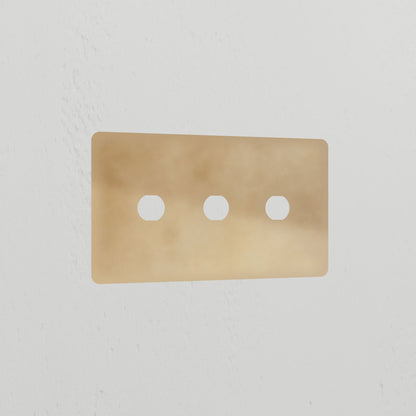 Skorter | 3G Switch Plate - Antique Brass