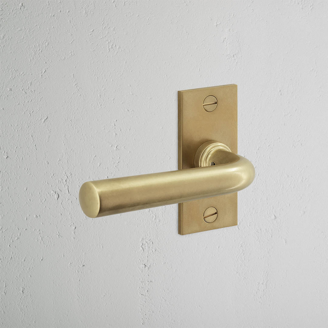 Skorter | Apsley Short Plate Fixed Door Handle - Antique Brass